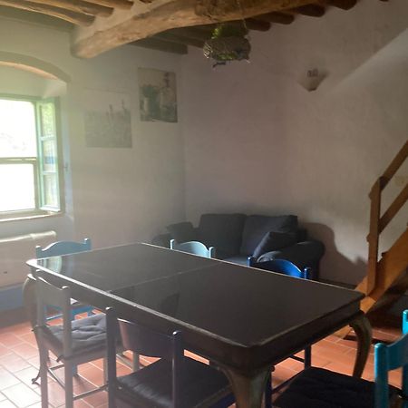 Agriturismo Le Colline Montescudaio Eksteriør billede