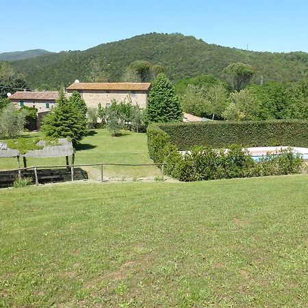 Agriturismo Le Colline Montescudaio Værelse billede
