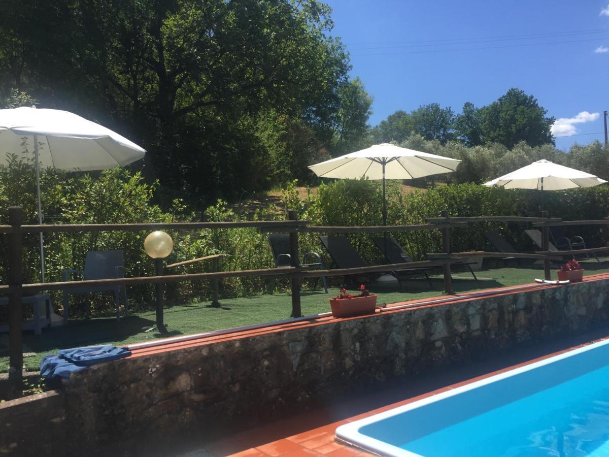 Agriturismo Le Colline Montescudaio Eksteriør billede