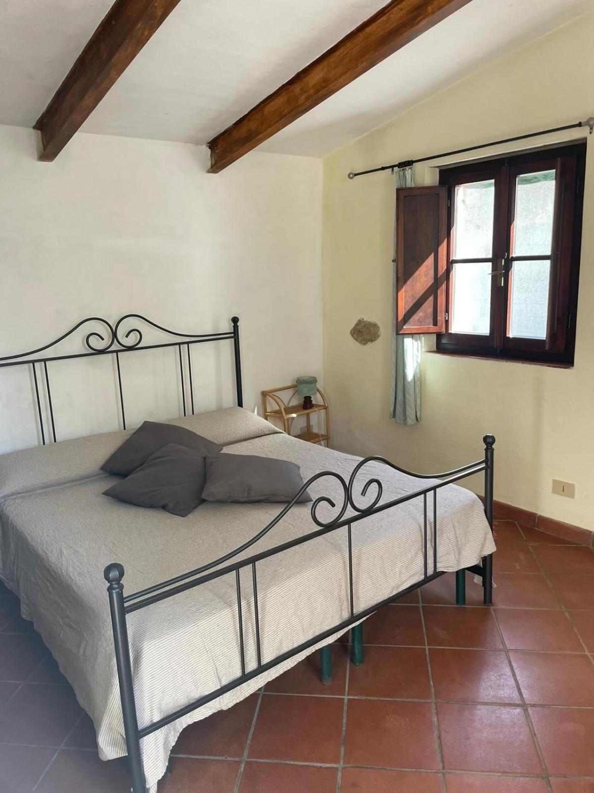 Agriturismo Le Colline Montescudaio Eksteriør billede