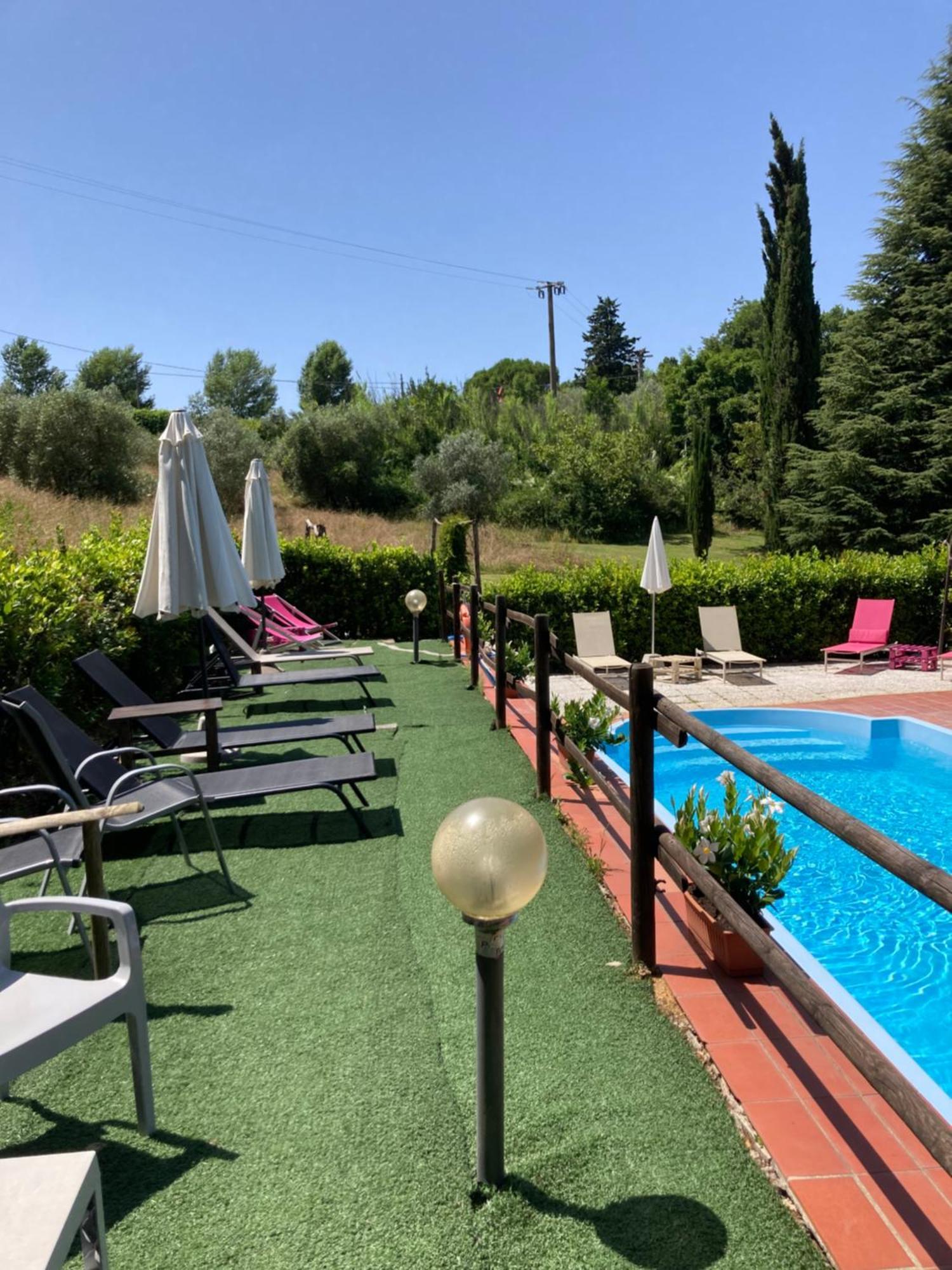 Agriturismo Le Colline Montescudaio Eksteriør billede