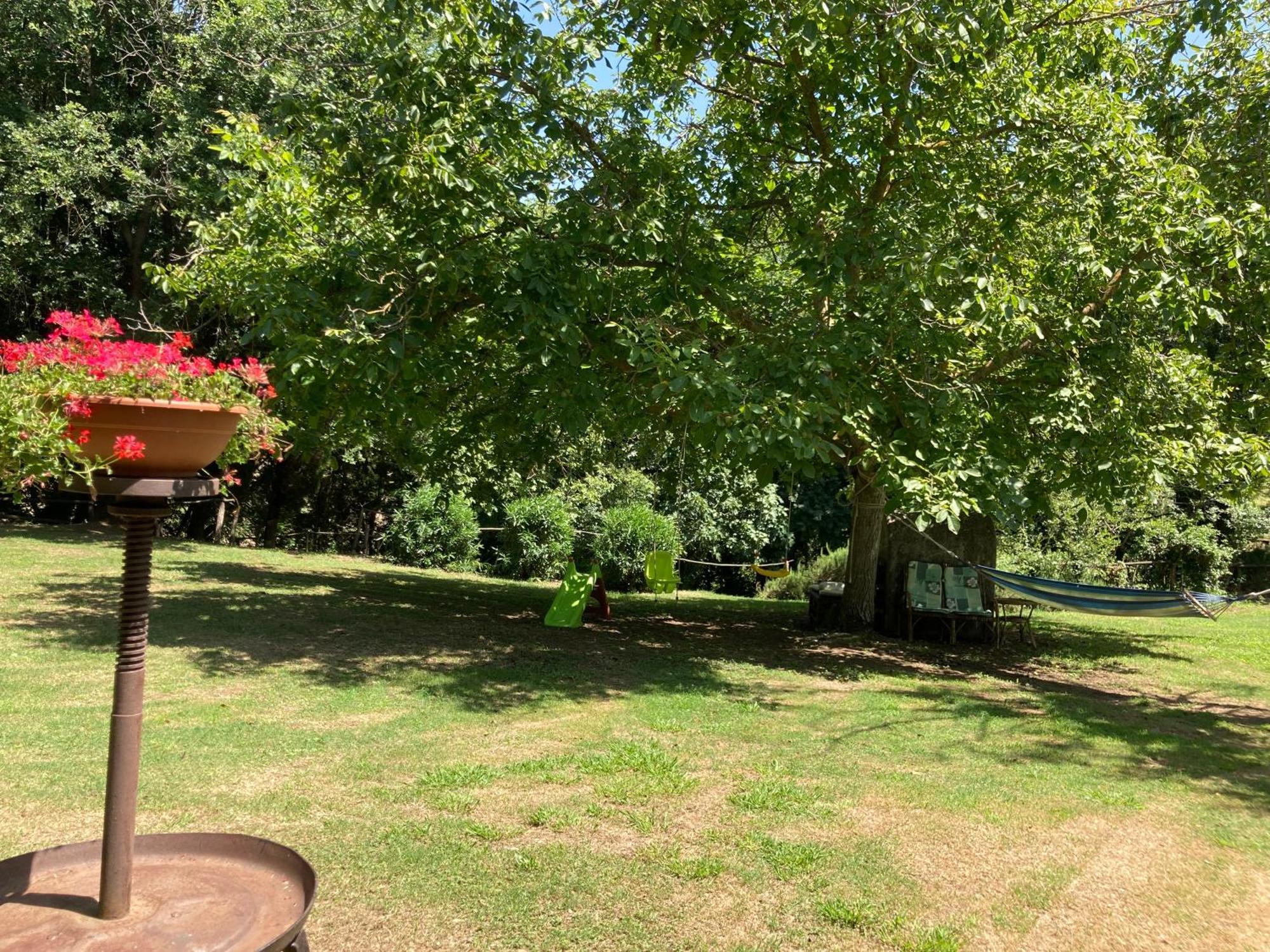 Agriturismo Le Colline Montescudaio Eksteriør billede