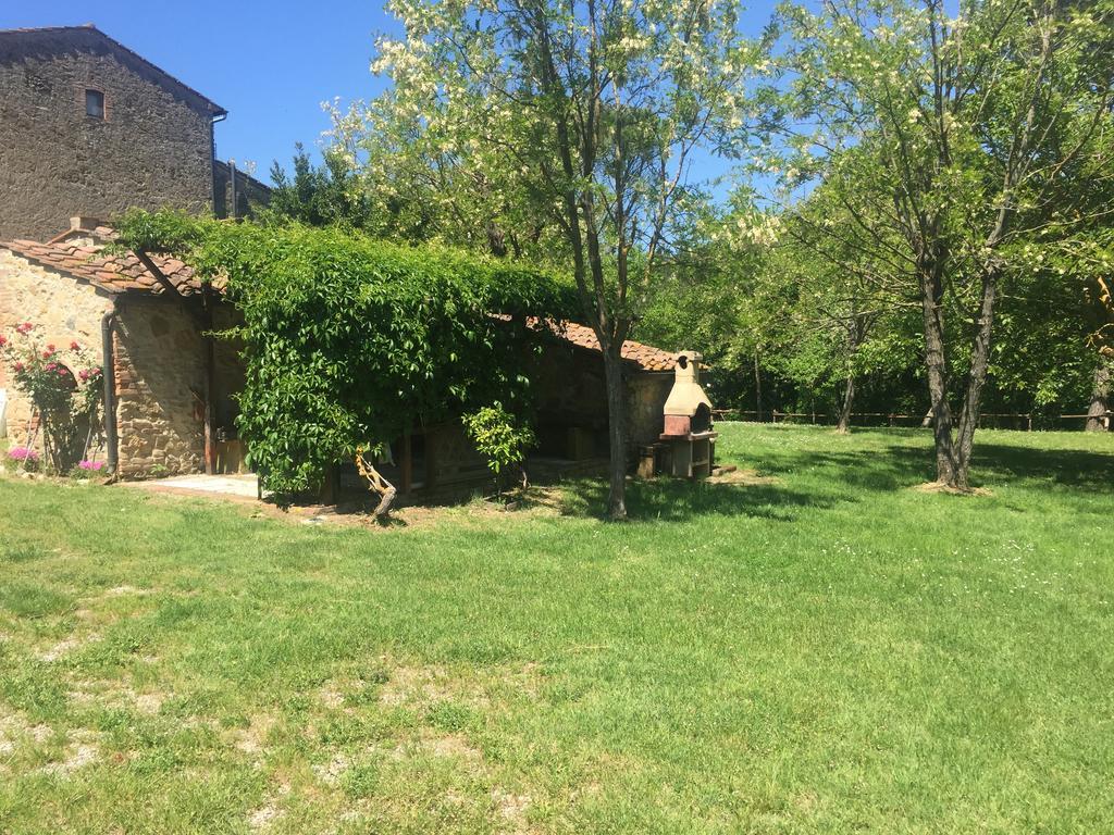 Agriturismo Le Colline Montescudaio Eksteriør billede