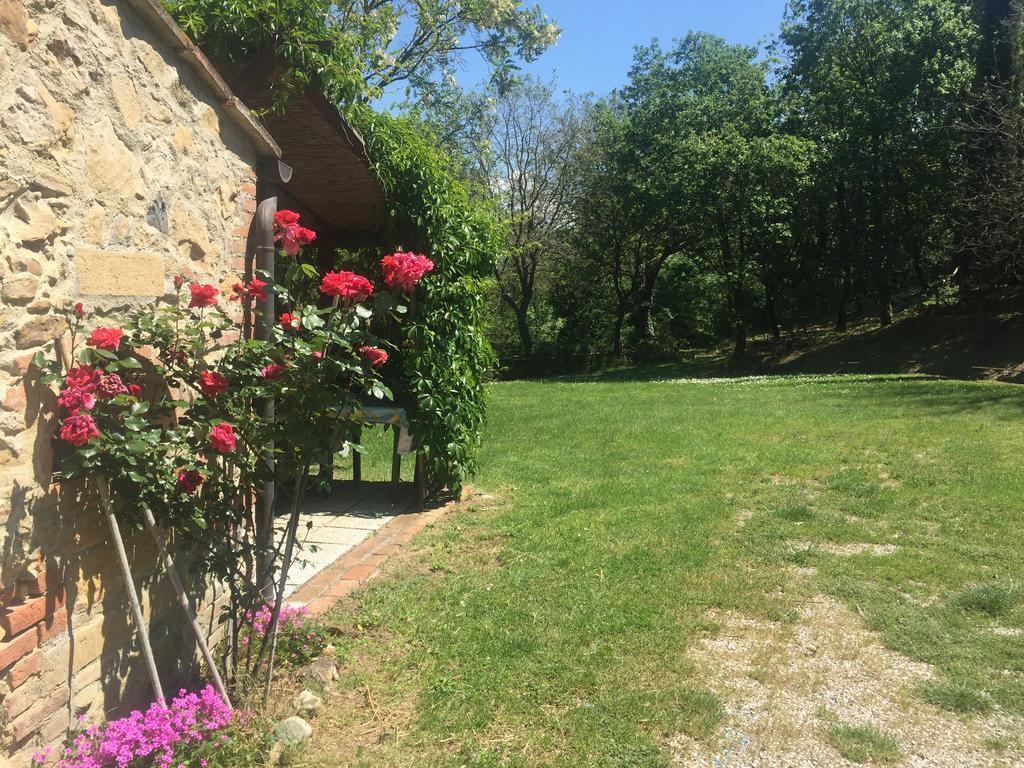 Agriturismo Le Colline Montescudaio Eksteriør billede