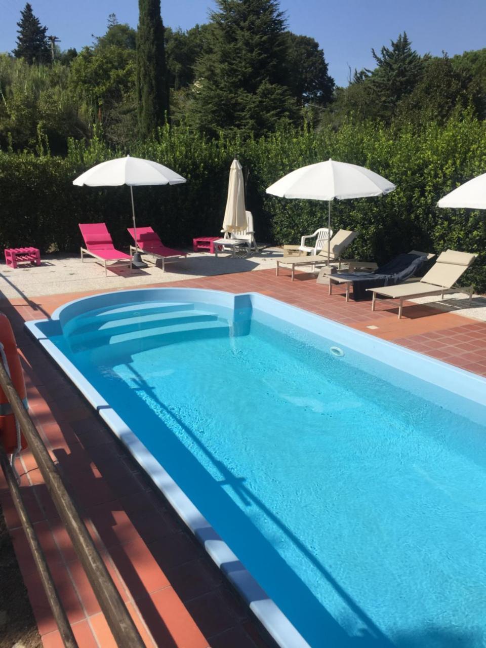 Agriturismo Le Colline Montescudaio Eksteriør billede