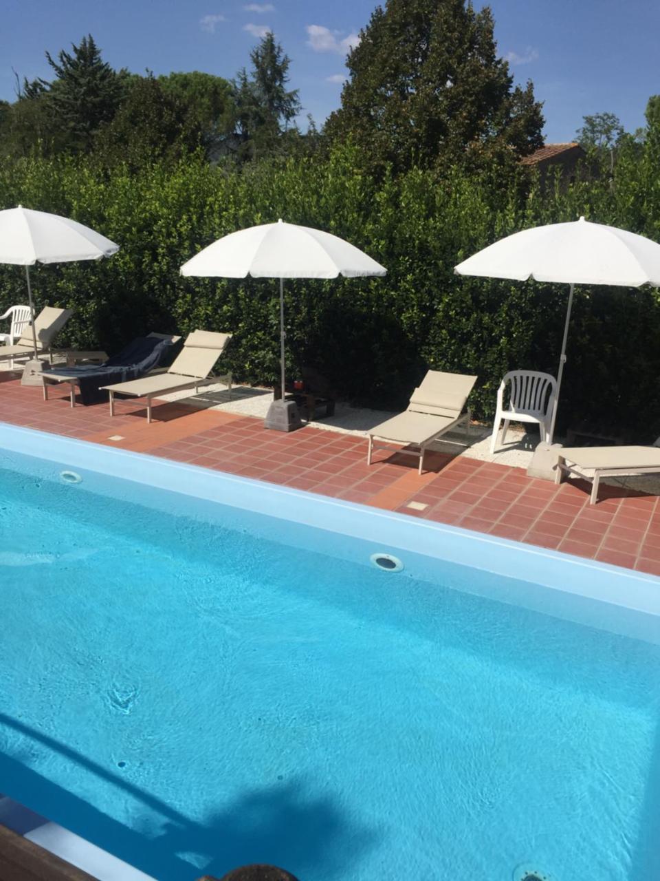 Agriturismo Le Colline Montescudaio Eksteriør billede