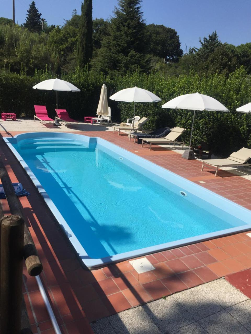 Agriturismo Le Colline Montescudaio Eksteriør billede
